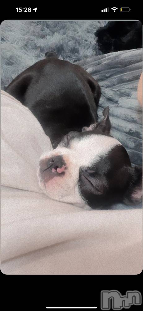 ��Ʋ����Х��顦�����clubTiara(�ƥ�����) ��ߤ�3��26���̥�֥����֤����