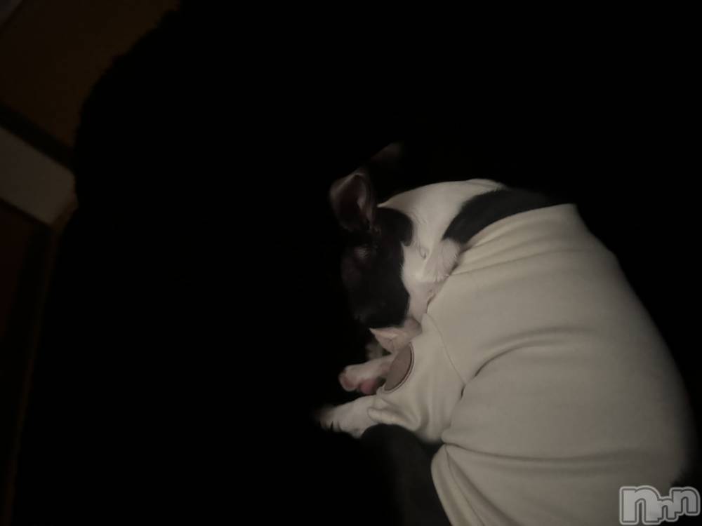 ��Ʋ����Х��顦�����clubTiara(�ƥ�����) ��ߤ�4��23���̥�֥����֤����