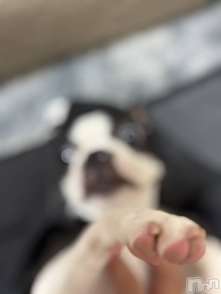 ��Ʋ����Х��顦�����clubTiara(�ƥ�����) ��ߤ�6��7���̥�֥�����6��7�� 23��54ʬ�Υ֥�����