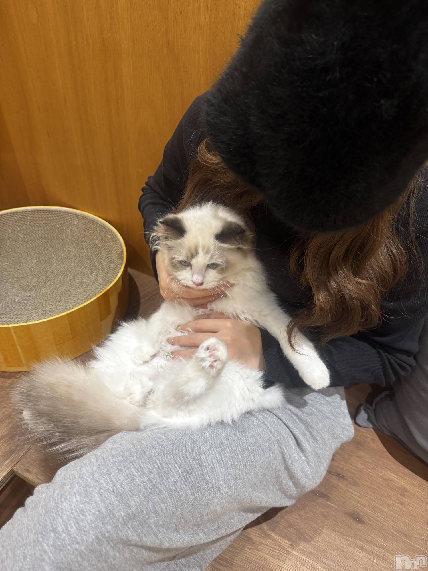 ƲХ顦clubTiara(ƥ) 2025ǯ1029̥֥֤