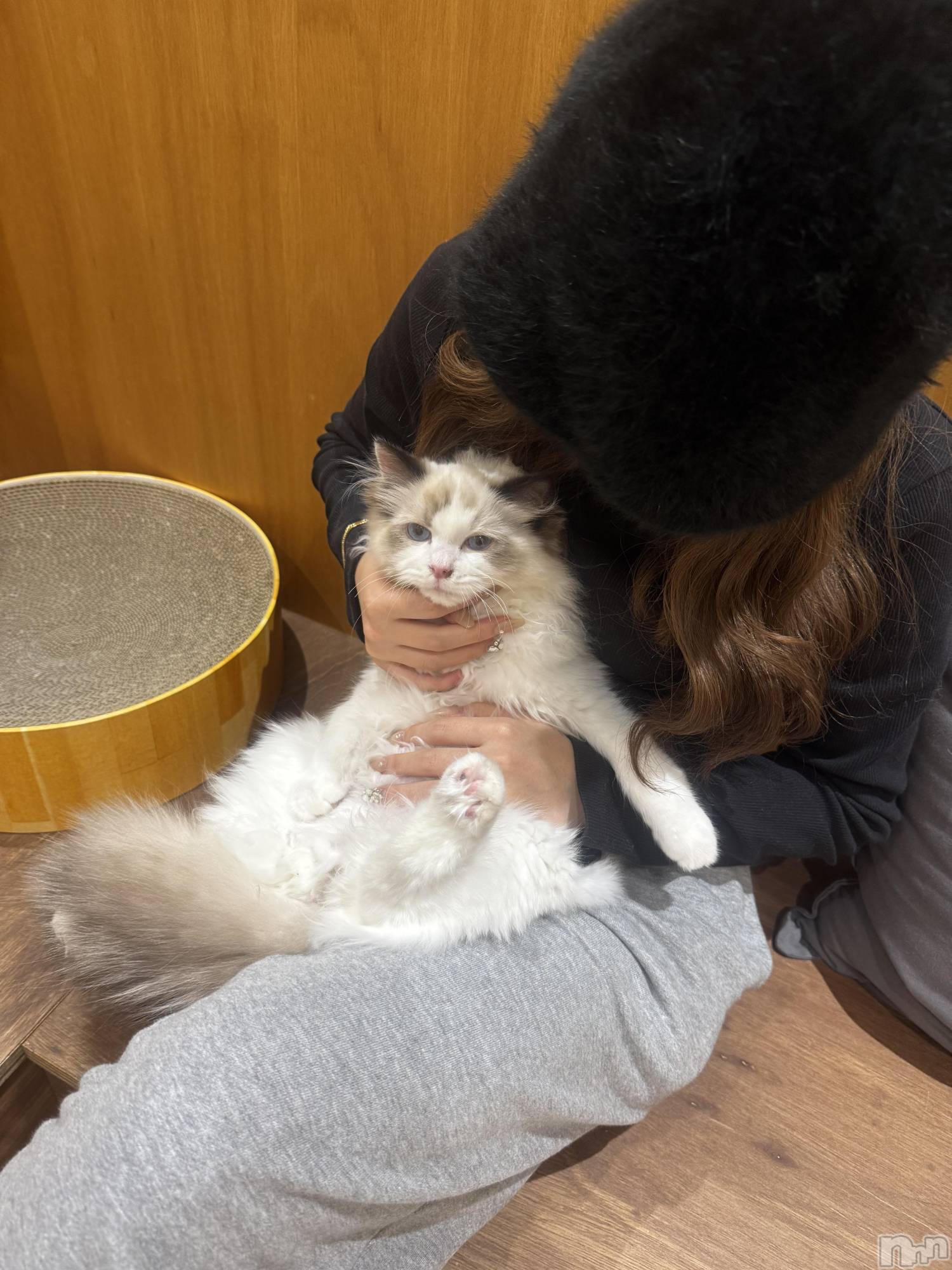 ƲХ顦clubTiara(ƥ) 2025ǯ111̥֥֤