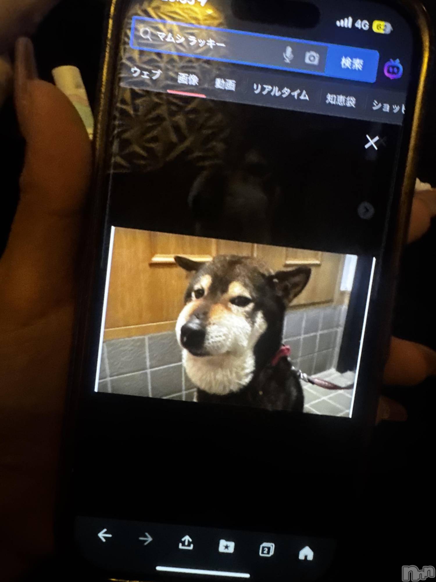 ƲХ顦clubTiara(ƥ) 2025ǯ1124̥֥֤