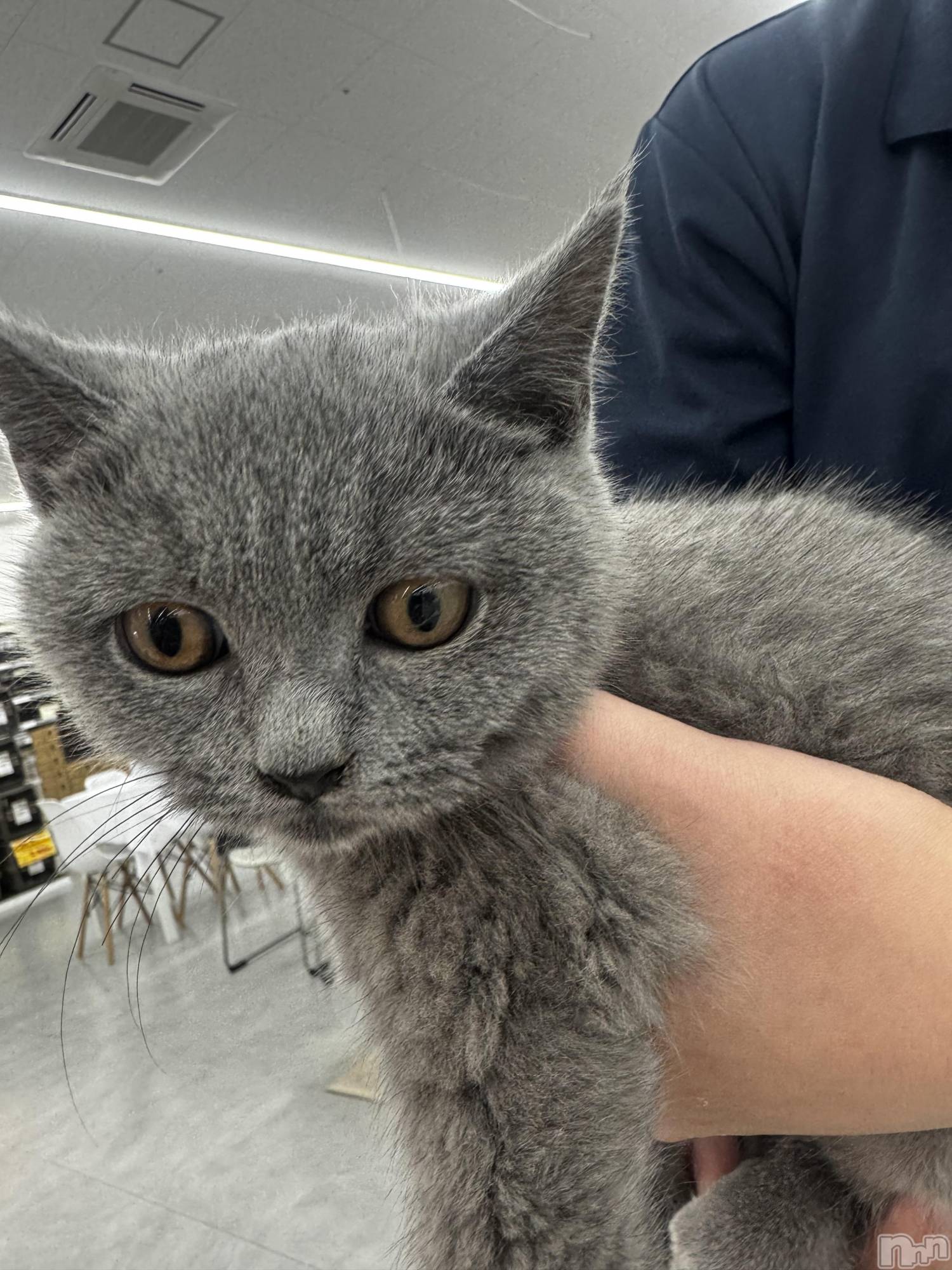 ��Ʋ����Х��顦�����clubTiara(�ƥ�����) ��2026ǯ1��23���̥�֥����֤����