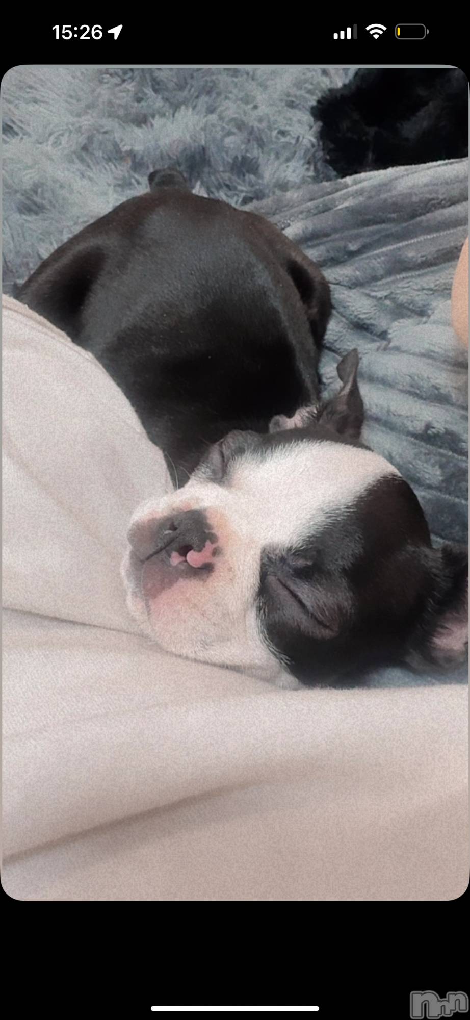 ��Ʋ����Х��顦�����clubTiara(�ƥ�����) ��2026ǯ3��26���̥�֥����֤����