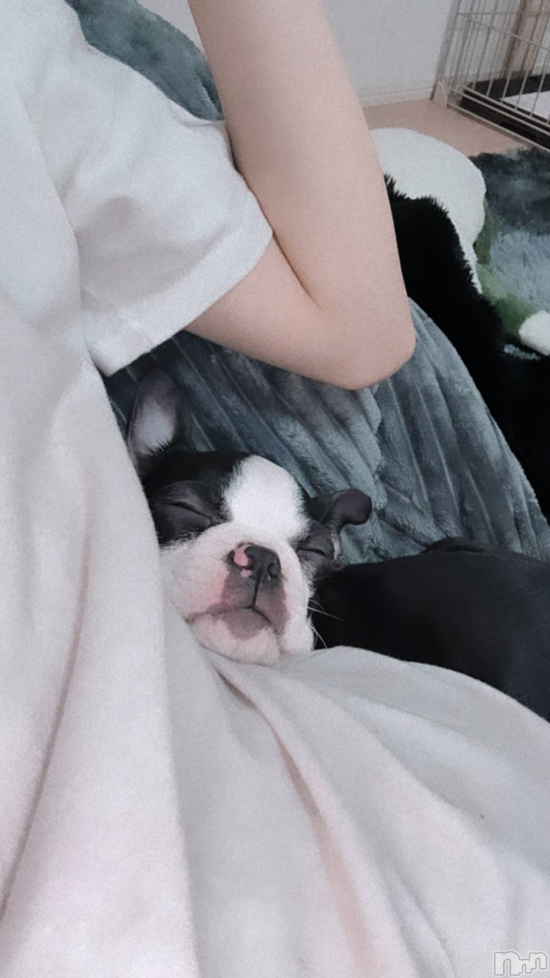 ��Ʋ����Х��顦�����clubTiara(�ƥ�����) ��2026ǯ3��31���̥�֥�����3��31�� 00��28ʬ�Υ֥�����