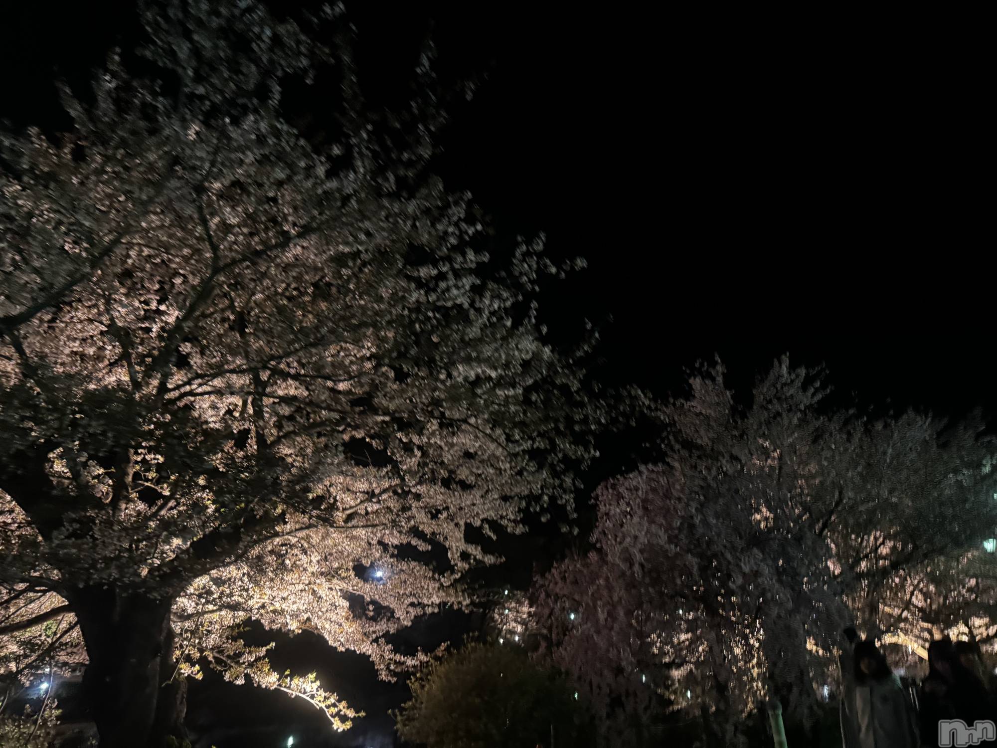 ��Ʋ����Х��顦�����clubTiara(�ƥ�����) ��2026ǯ4��13���̥�֥�����4��13�� 01��15ʬ�Υ֥�����