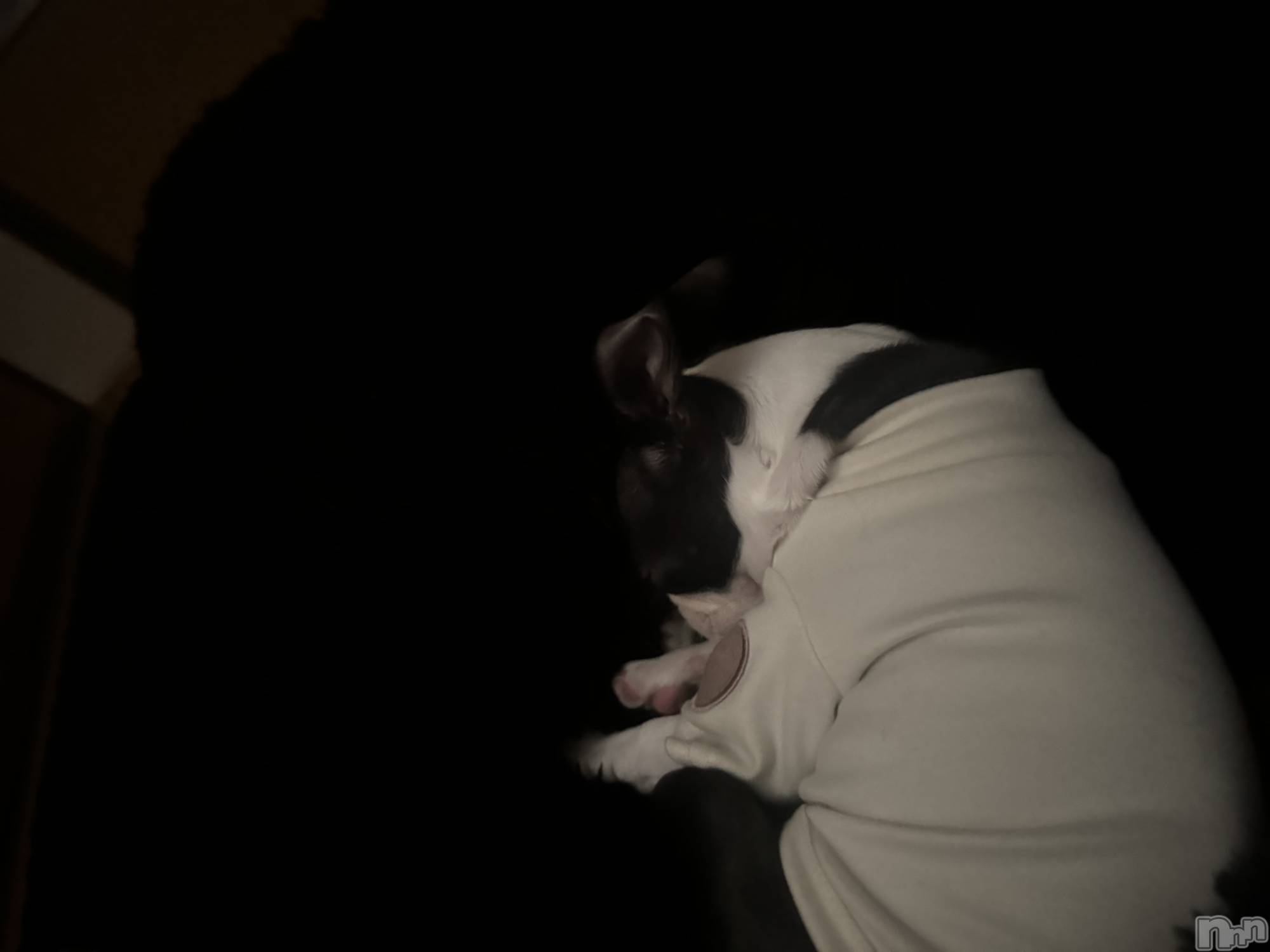 ��Ʋ����Х��顦�����clubTiara(�ƥ�����) ��2026ǯ4��23���̥�֥����֤����