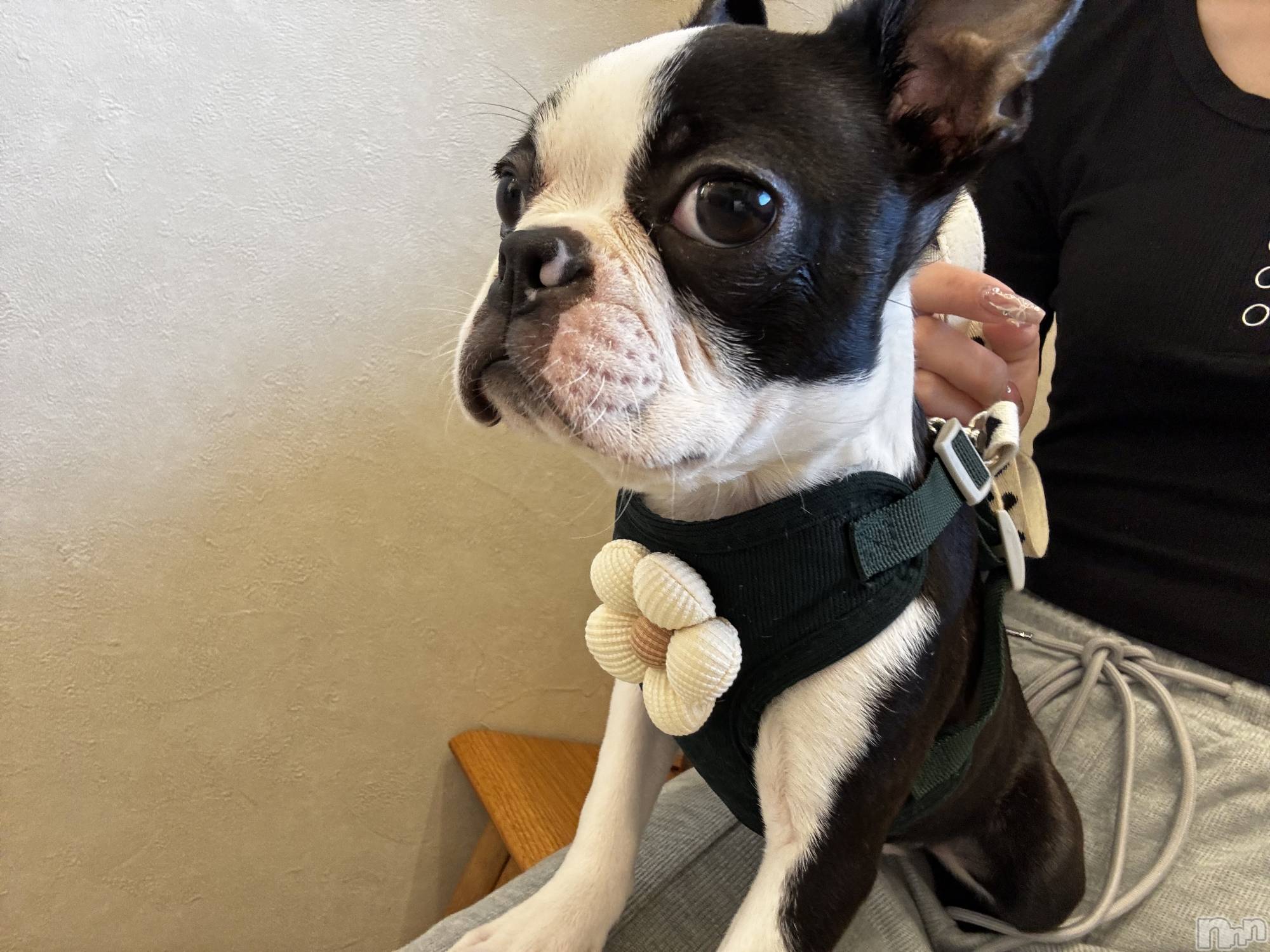 ��Ʋ����Х��顦�����clubTiara(�ƥ�����) ��2026ǯ4��26���̥�֥����֤����