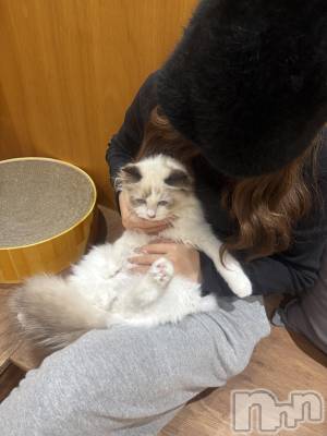 ƲХ顦clubTiara(ƥ) (20)1029̥֥֤