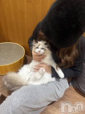 ƲХ顦clubTiara(ƥ) (20)111̥֥֤