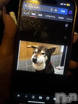 ƲХ顦clubTiara(ƥ) (20)1124̥֥֤