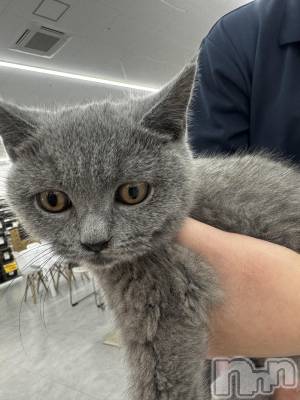 ��Ʋ����Х��顦�����clubTiara(�ƥ�����) ���(20)��1��23���̥�֥����֤����