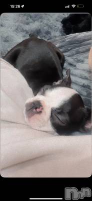 ��Ʋ����Х��顦�����clubTiara(�ƥ�����) ���(20)��3��26���̥�֥����֤����