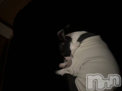 ��Ʋ����Х��顦�����clubTiara(�ƥ�����) ���(20)��4��23���̥�֥����֤����