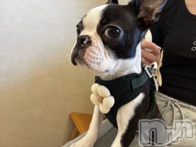 ��Ʋ����Х��顦�����clubTiara(�ƥ�����) ���(20)��4��26���̥�֥����֤����