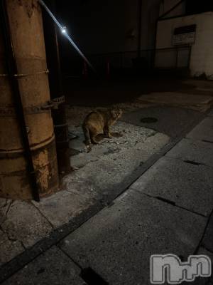 ��Ʋ����Х��顦�����clubTiara(�ƥ�����) ���(20)��5��28���̥�֥�����5��28�� 22��59ʬ�Υ֥�����