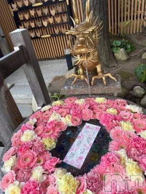 すぴ！！！！！