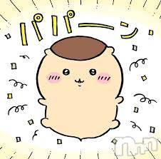 ƲۥȡܡСEST() ޤ󤸤夦62̥֥62 2152ʬΥ֥