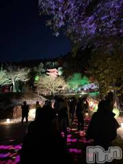 長岡デリヘルBIANCA～主人の知らない私～長岡店(ビアンカナガオカテン) 柳井　あこ(36)の2月10日写メブログ「ライトアップ🔦」