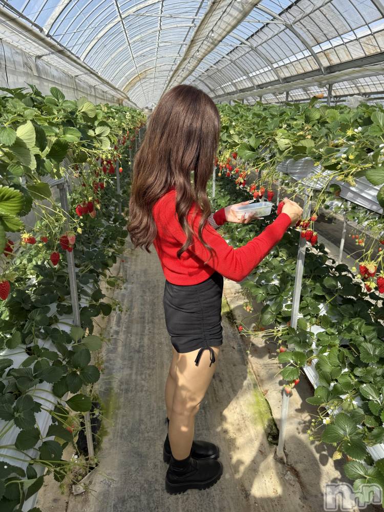 ��Ʋ����Х��顦�����JARDIN CLUB(�������󥯥��) �Ҥʤ�3��4���̥�֥�����3��4�� 21��21ʬ�Υ֥�����