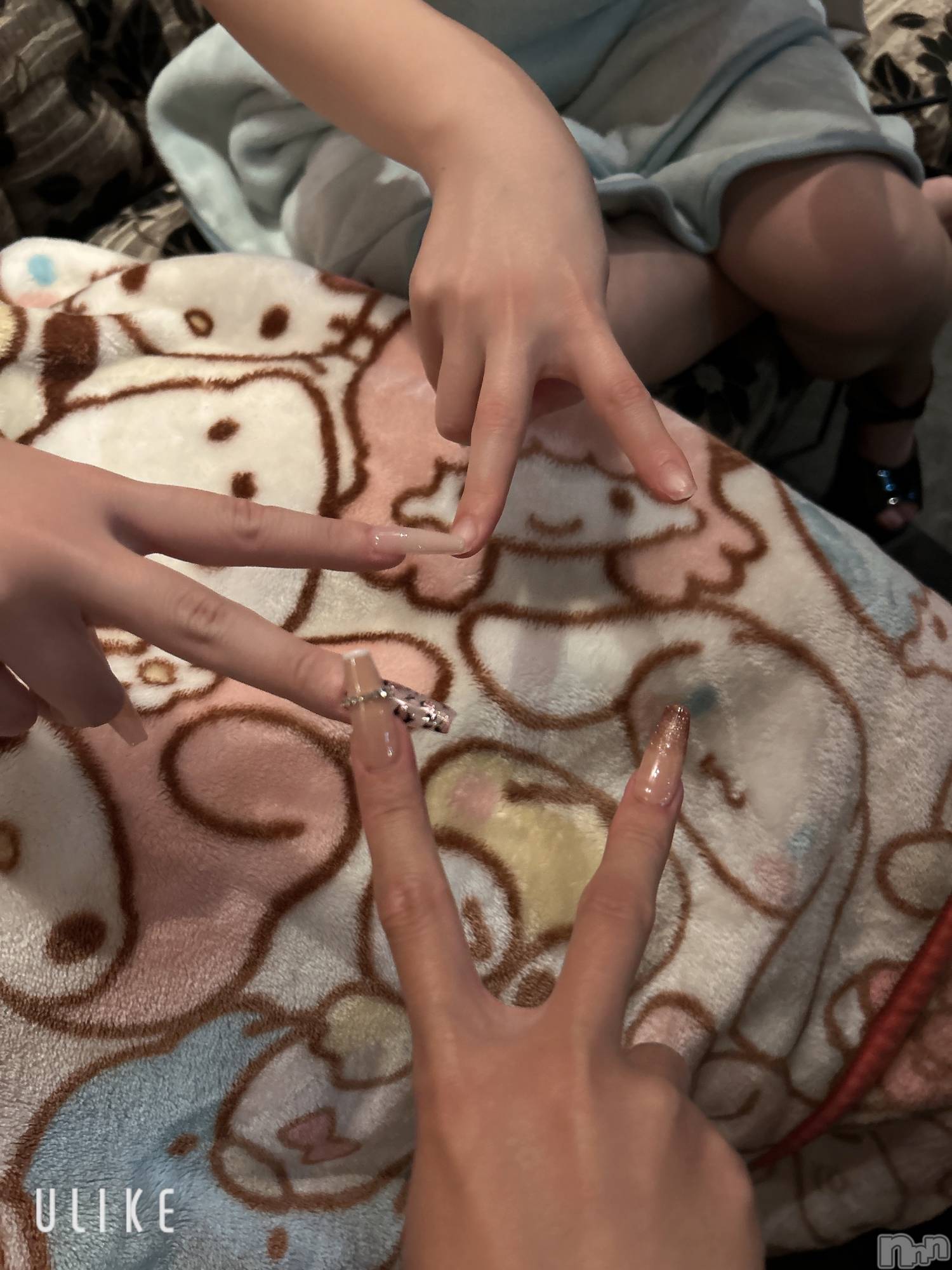 ƲХ顦JARDIN CLUB(󥯥) 2025ǯ1029̥֥ʿɽжС