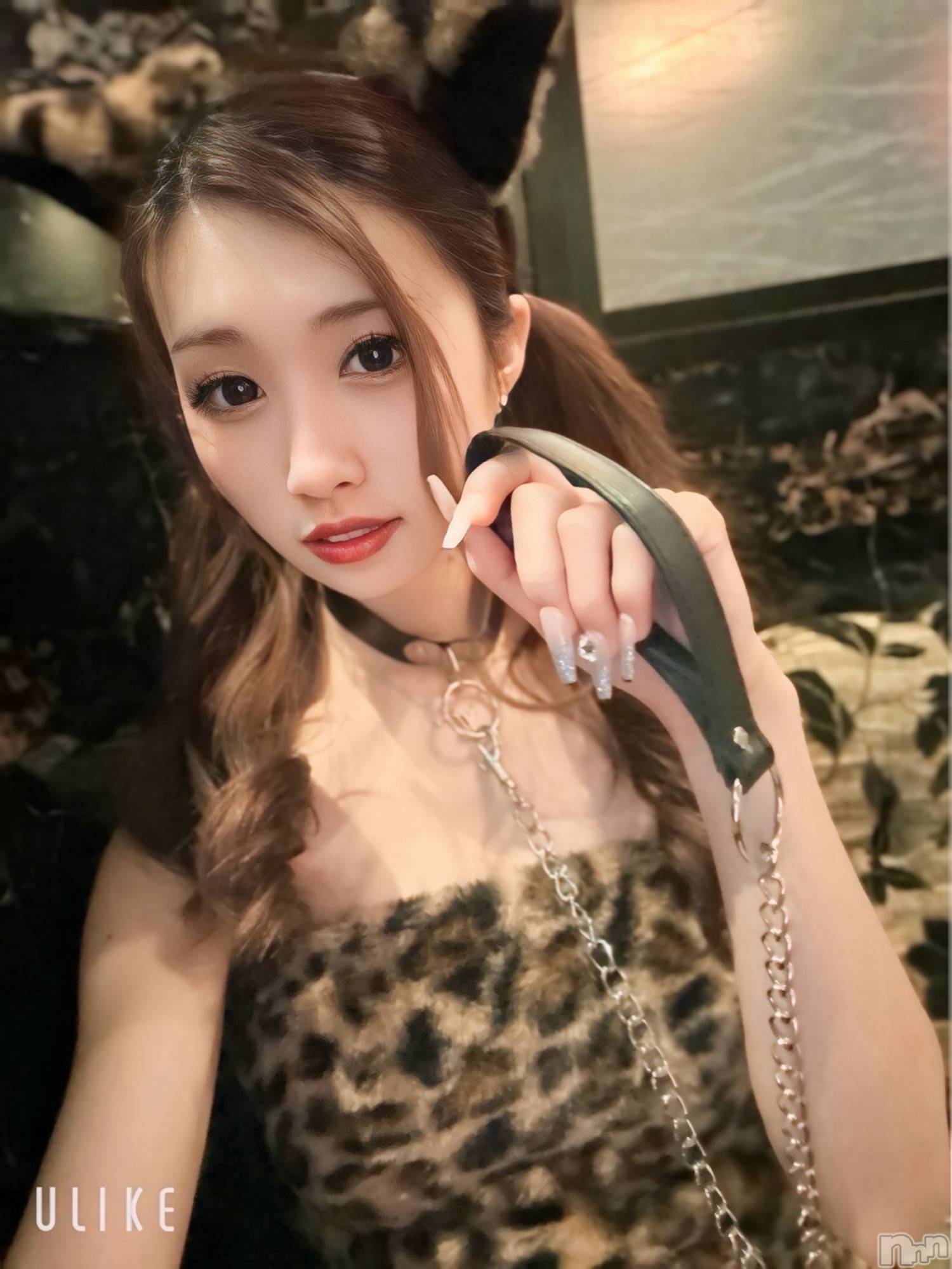 ƲХ顦JARDIN CLUB(󥯥) 2025ǯ1122̥֥֥˥ޥ2ܡ