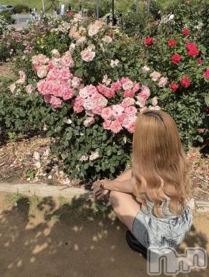 ��Ʋ�ˤ��륭��Х��顦����֡�JARDIN CLUB(�������󥯥��)�פΥ��㥹�ȡ֤ҤʡפξҲ����