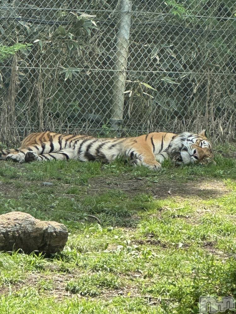 ��ˬ����Х��顦�����CLUB Red(����� ��å�) �⤨��5��15���̥�֥����ֲİ����ä�����♡��