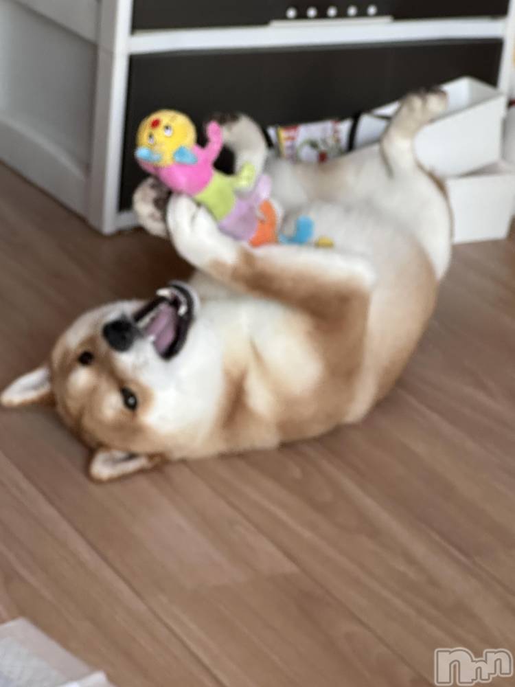 ��ˬ����Х��顦�����CLUB Red(����� ��å�) �⤨��6��2���̥�֥����֤��嵐��