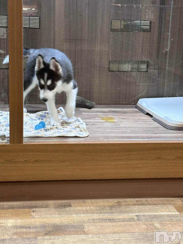 ��ˬ����Х��顦�����CLUB Red(����� ��å�) �⤨��6��4���̥�֥����ֺǶ�ϥ��������ƻ��������ʤ�ޤ�����