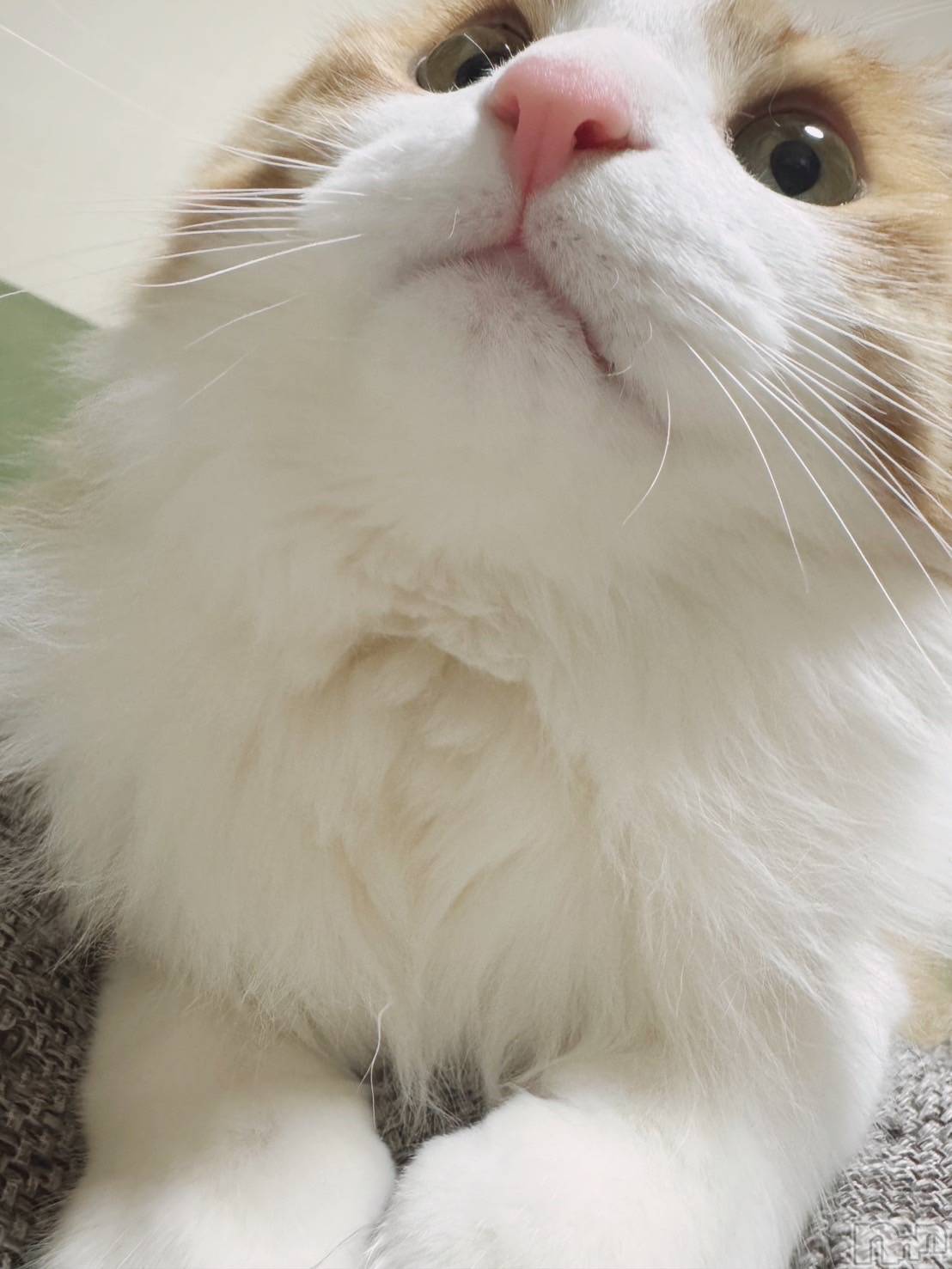 ��ˬ����Х��顦�����CLUB Red(����� ��å�) ��2025ǯ3��29���̥�֥�����ǭ�˥�դꤿ����