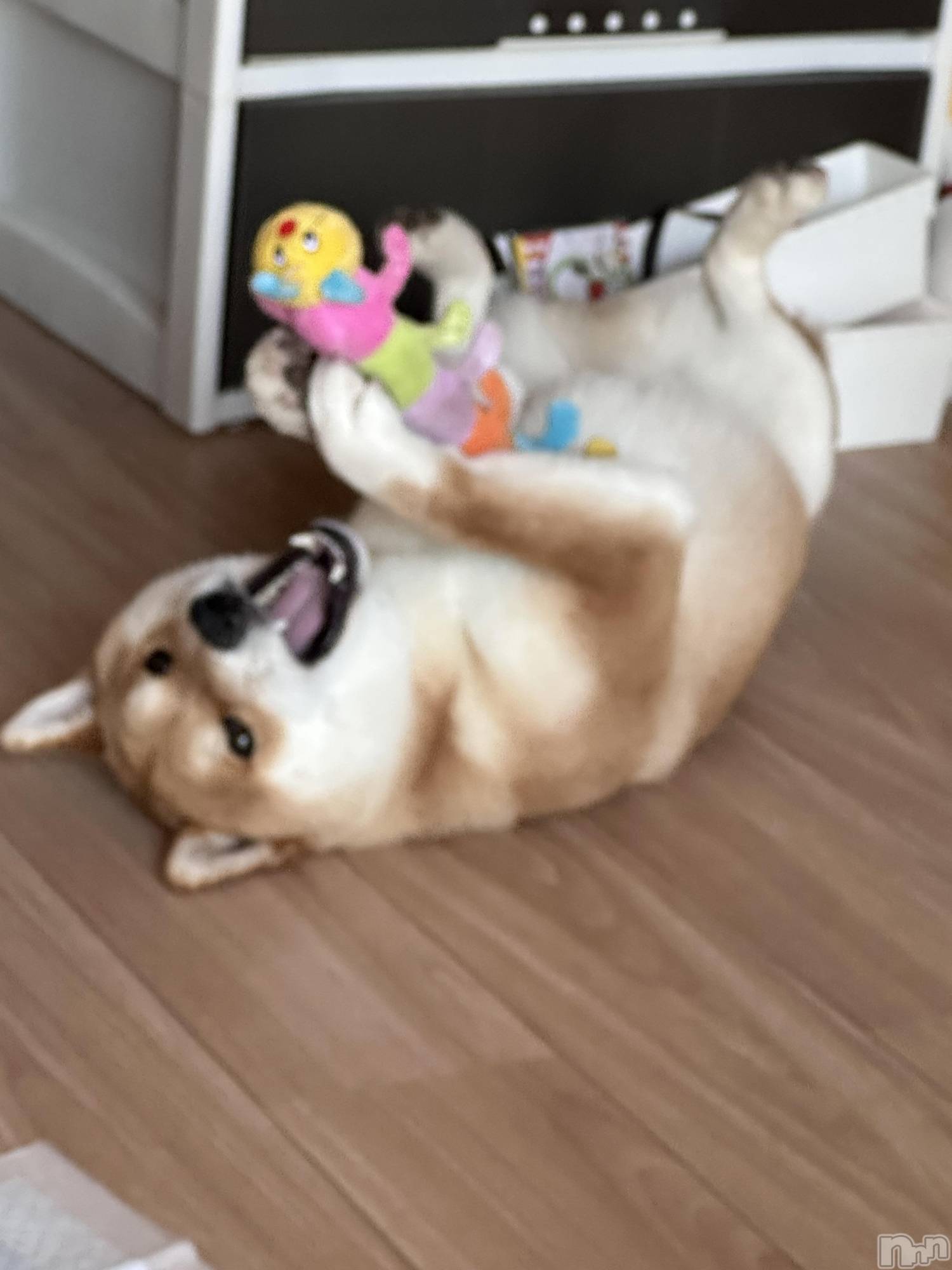 ��ˬ����Х��顦�����CLUB Red(����� ��å�) ��2025ǯ6��2���̥�֥����֤��嵐��