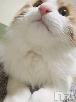 ��ˬ����Х��顦�����CLUB Red(����� ��å�) �⤨(20)��3��29���̥�֥�����ǭ�˥�դꤿ����