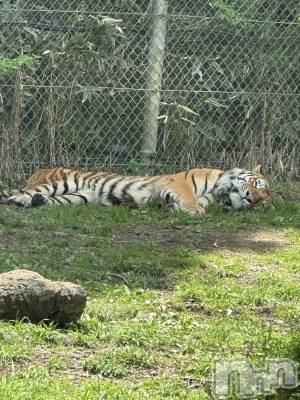 ��ˬ����Х��顦�����CLUB Red(����� ��å�) �⤨(20)��5��15���̥�֥����ֲİ����ä�����♡��