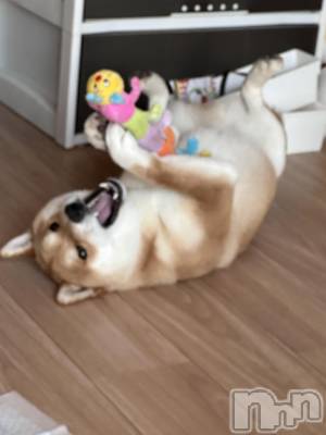 ��ˬ����Х��顦�����CLUB Red(����� ��å�) �⤨(20)��6��2���̥�֥����֤��嵐��