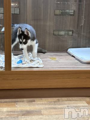 ��ˬ����Х��顦�����CLUB Red(����� ��å�) �⤨(20)��6��4���̥�֥����ֺǶ�ϥ��������ƻ��������ʤ�ޤ�����