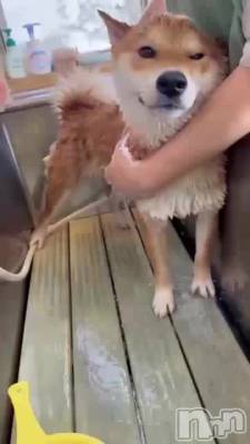 �����ס�