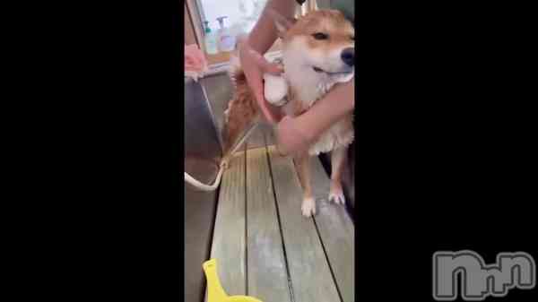 �֥����ס���