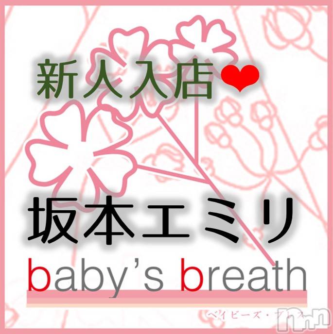 坂本エミリ【新人】