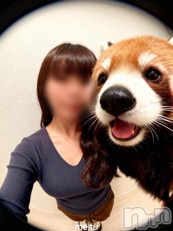 新潟デリヘルSOARIS-ソアリス-(ソアリス)さつき(34)の2025年11月12日写メブログ「昨日はイベントありがとう😊」