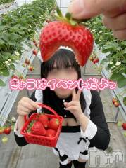 新潟デリヘルSOARIS-ソアリス-(ソアリス) さつき(34)の3月22日写メブログ「🍓残り一枠です(*´∀人)🍓」