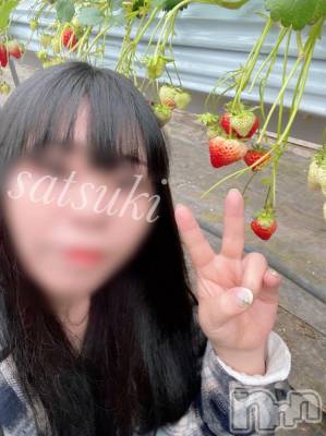 新潟風俗エステ SOARIS-ソアリス-(ソアリス) さつき(34)の4月2日写メブログ「童心を忘れずに生きたい」
