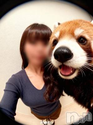 新潟デリヘル SOARIS-ソアリス-(ソアリス) さつき(34)の11月12日写メブログ「昨日はイベントありがとう😊」