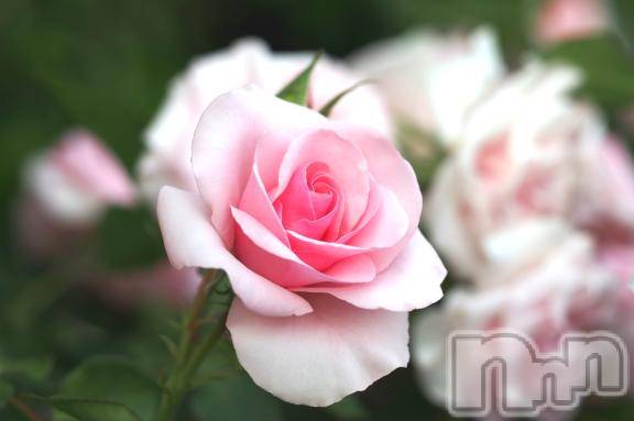 新潟デリヘル新潟人妻　2nd Wife(セカンドワイフ) 体験。ひまり奥様(32)の2月7日写メブログ「お礼」