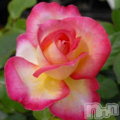 新潟デリヘル新潟人妻　2nd Wife(セカンドワイフ) 体験。ひまり奥様(32)の3月18日写メブログ「お礼」