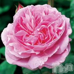 新潟デリヘル新潟人妻　2nd Wife(セカンドワイフ) 体験。ひまり奥様(32)の3月21日写メブログ「お礼」