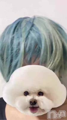 ⡼̵ʳ䤸ʤ