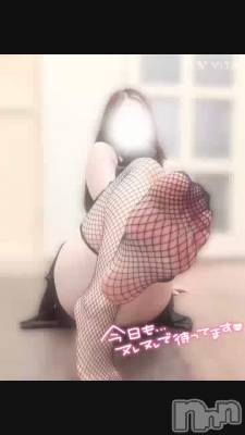 パンッ…パンッ…