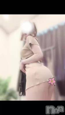 天職は〇〇女優