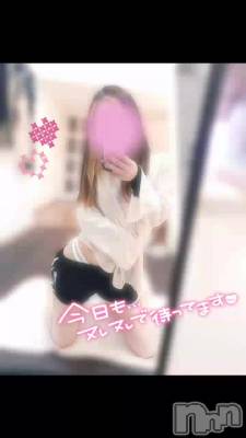 白いT〇ックの落し物、知りませんか？